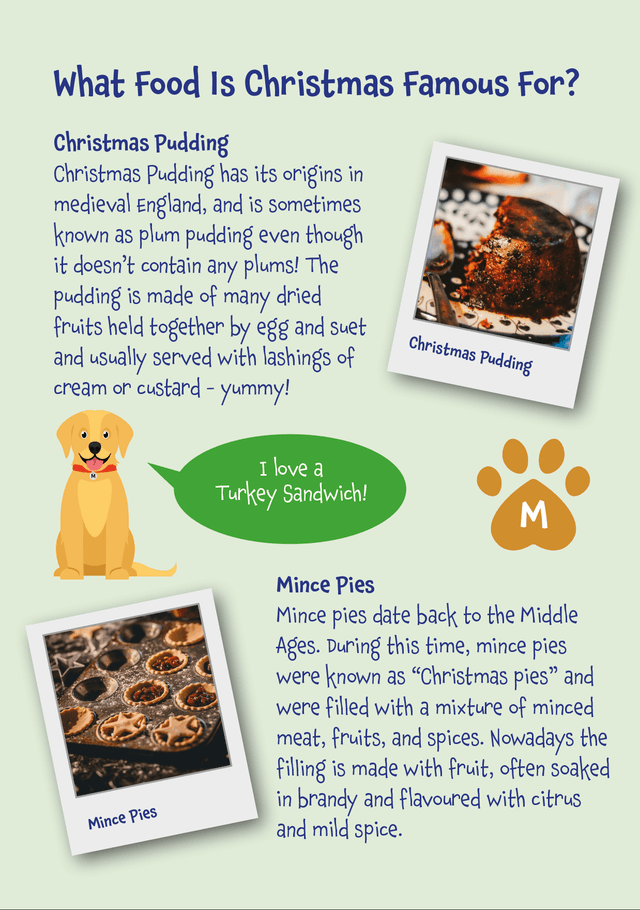 Mr Monks Children's Christmas Holiday Diary