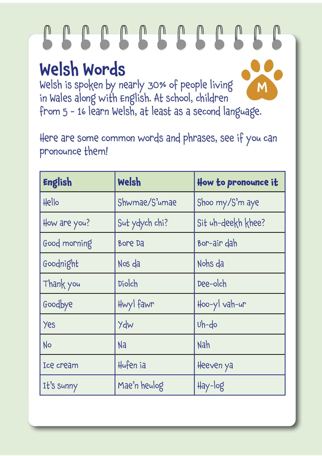 Mr Monks Children's Wales Holiday Diary