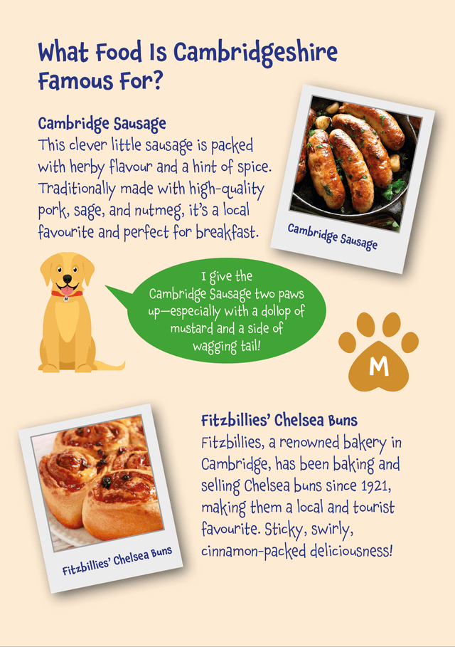 Mr Monks Cambridgeshire Children's Holiday Diary