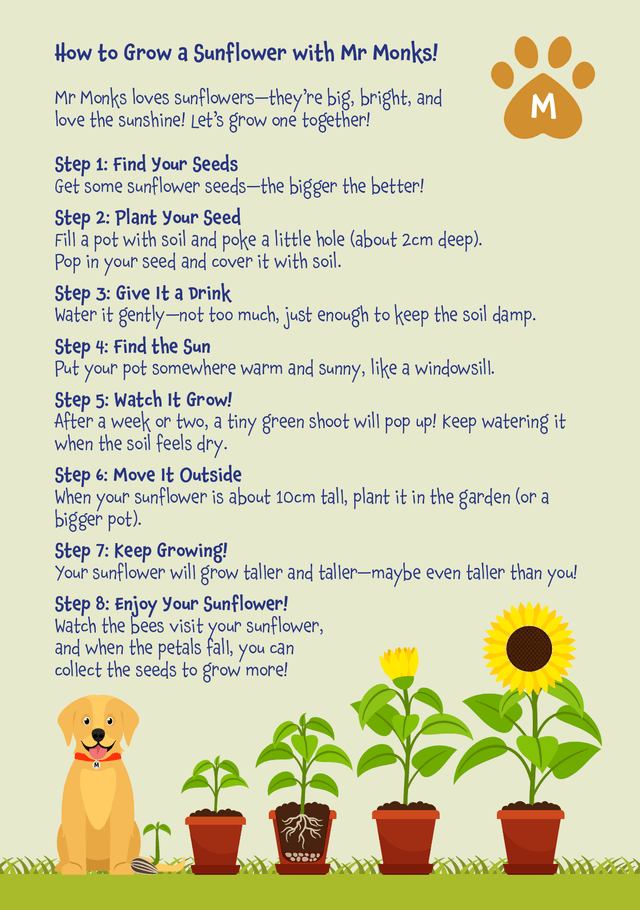 Mr Monks Garden Diary