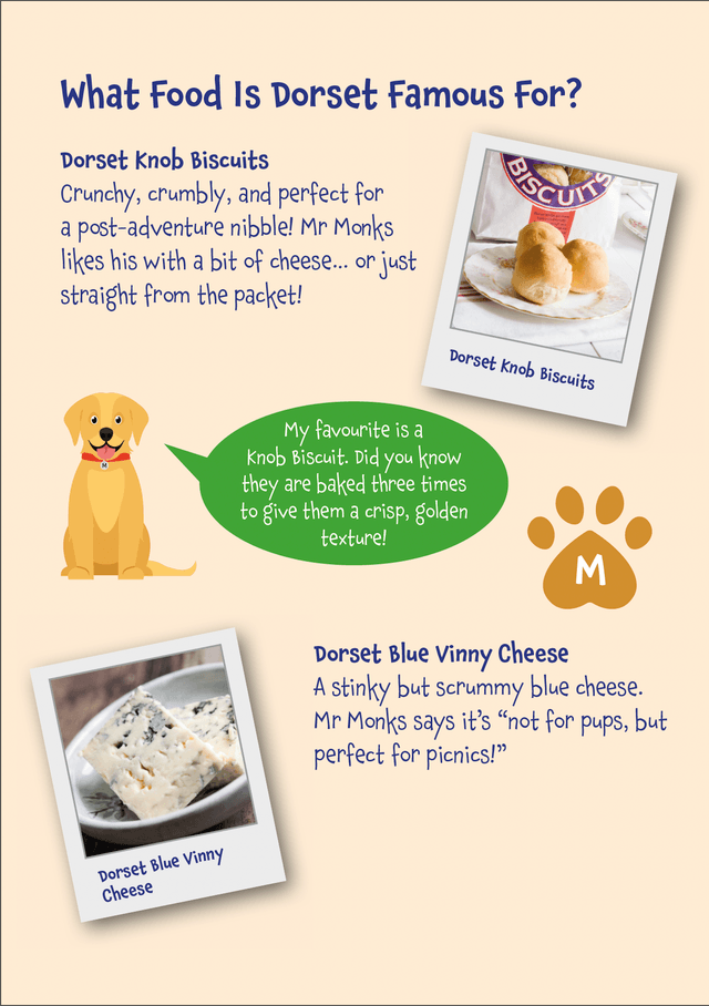 Mr Monks Children's Dorset Holiday Diary