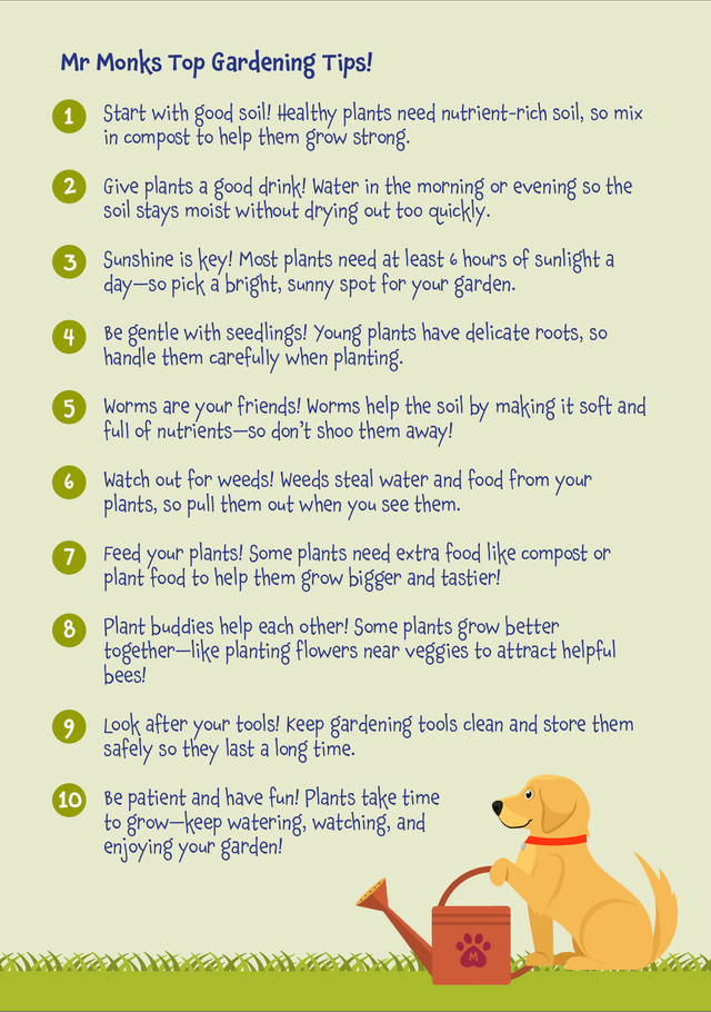 Mr Monks Garden Diary