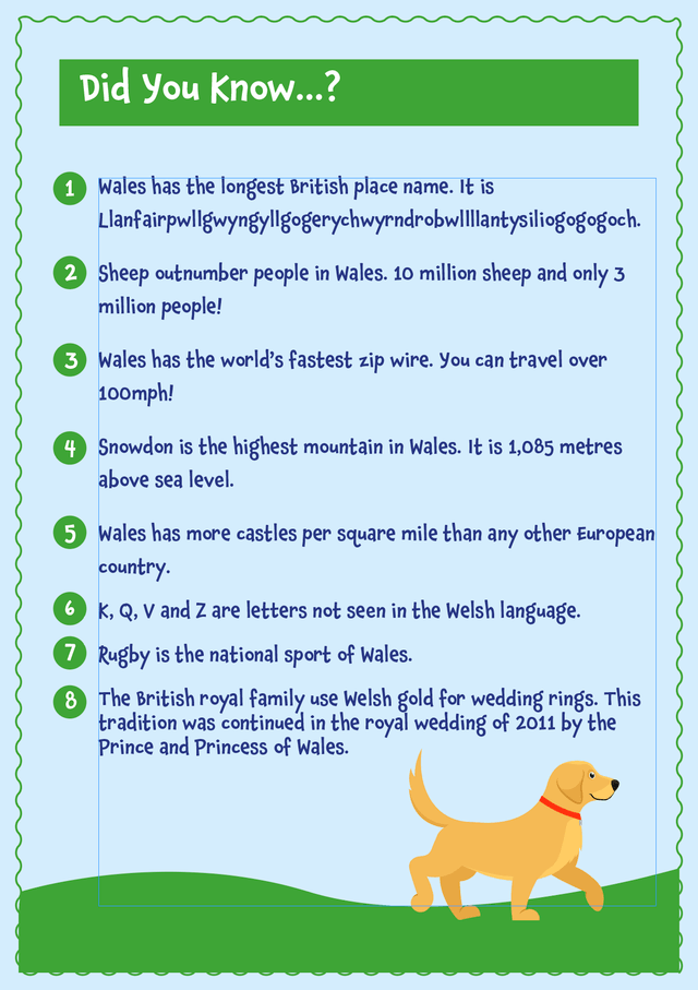 Mr Monks Children's Wales Holiday Diary