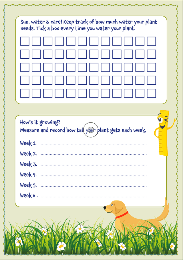 Mr Monks Garden Diary