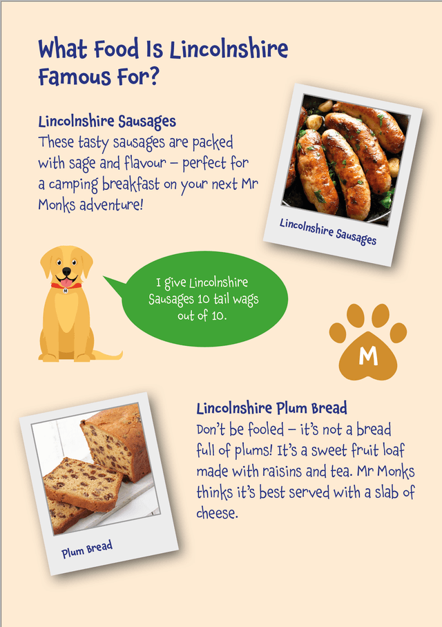 Mr Monks Lincolnshire Children's Holiday Diary